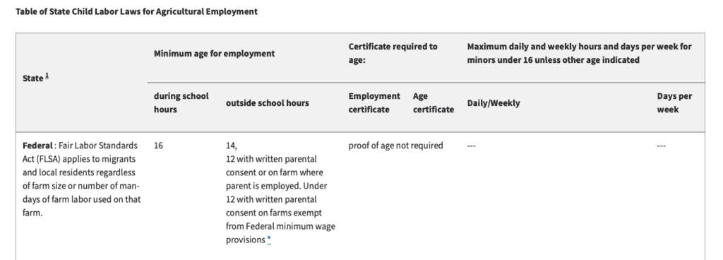 federal employment laws for minors